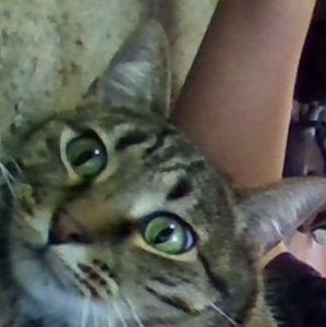 Meet your Posher, Joseph